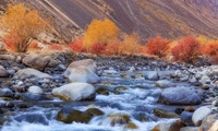 Sost Pakistan